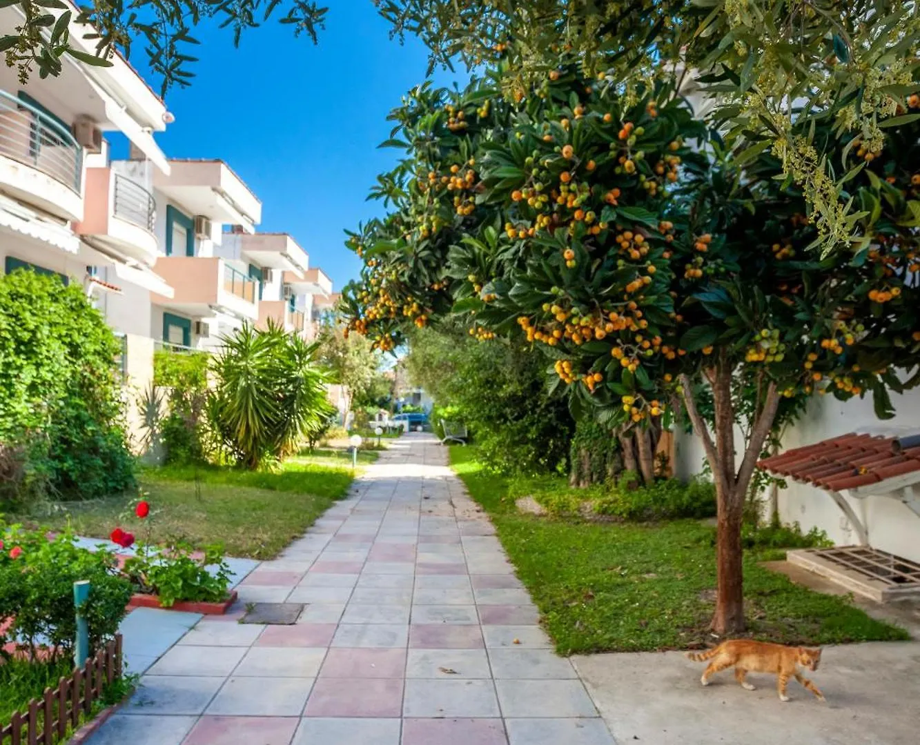 Villa Mira Pefkochori Grèce
