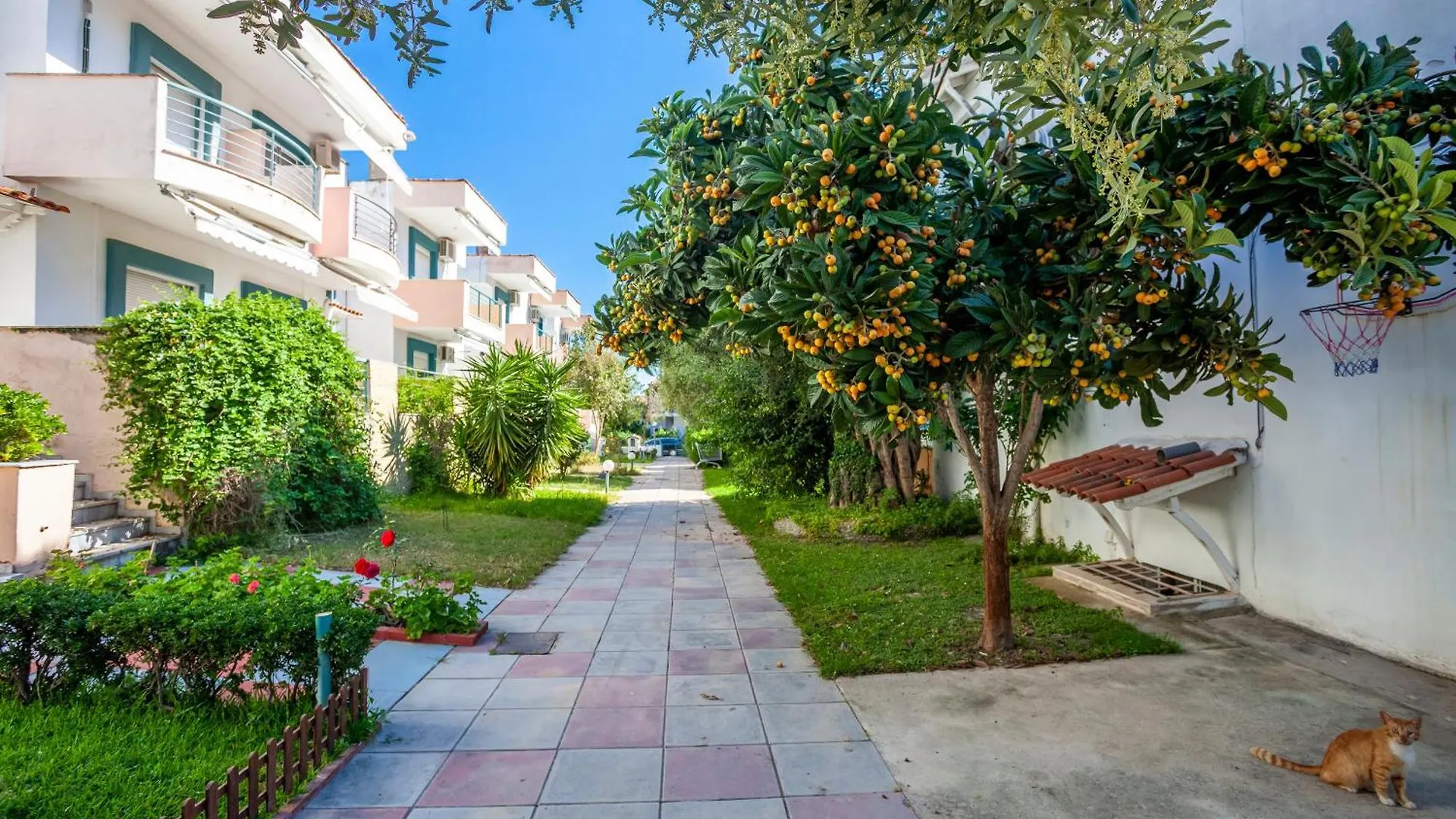 Villa Mira 佩科霍里